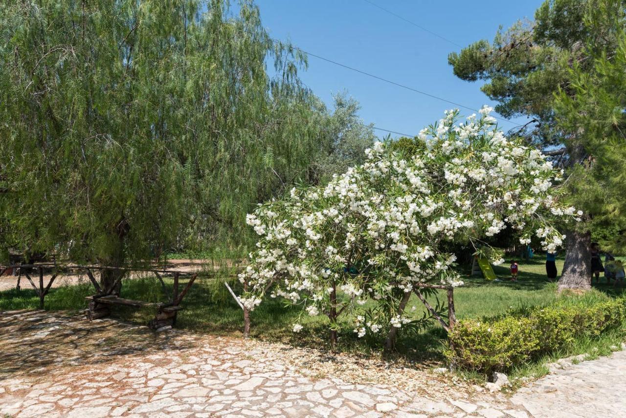 Farm stay Terra Di Pace