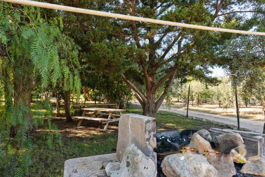 Terra Di Pace Farm stay *