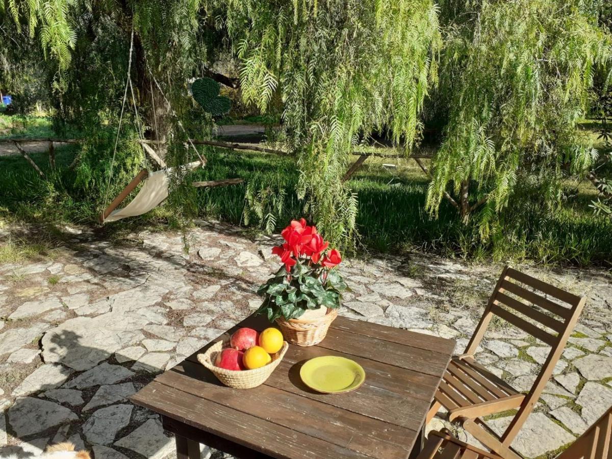 Terra Di Pace Farm stay *